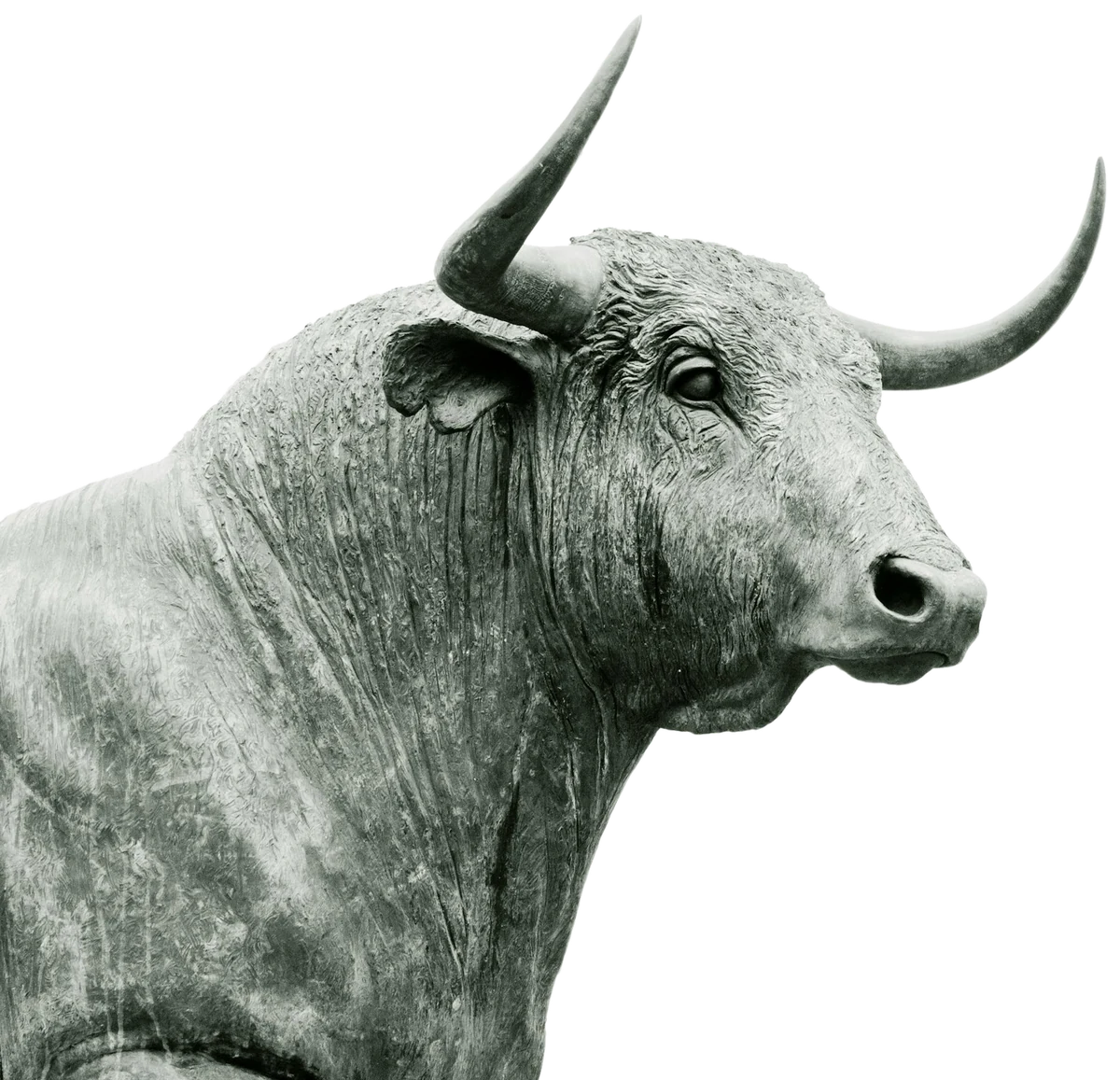 Bull sculpture